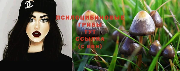 альфа пвп Бородино