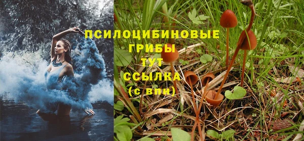 трава Бугульма
